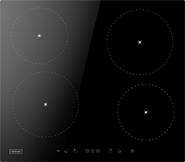 Induktionsfeld Reparatur Erfurt